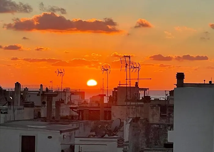 La Chicca Di Fiore - *